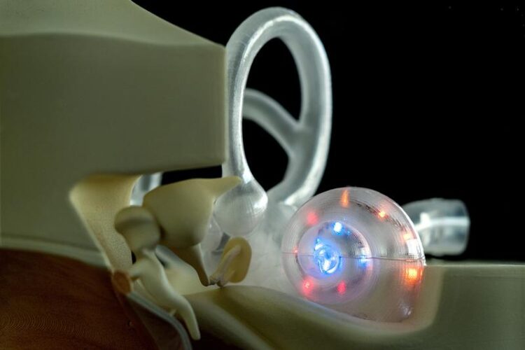 Entwicklung-des-optischen-Cochlea-Implantats