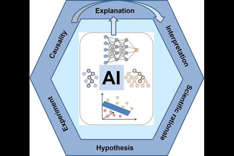 KI-Modelle in den Naturwissenschaften